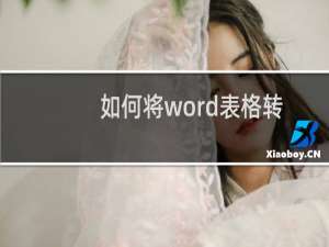 如何将word表格转换成Excel表格
