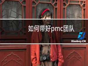 如何带好pmc团队