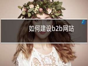 如何建设b2b网站