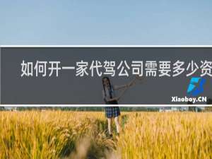 如何开一家代驾公司需要多少资金