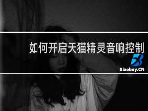 如何开启天猫精灵音响控制