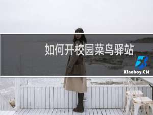 如何开校园菜鸟驿站