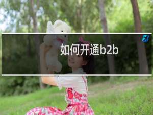 如何开通b2b