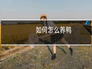 如何怎么养鸭
