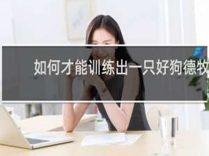 如何才能训练出一只好狗德牧