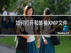 如何打开和转换XMP文件