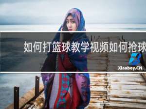 如何打篮球教学视频如何抢球