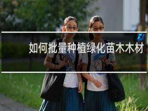如何批量种植绿化苗木木材