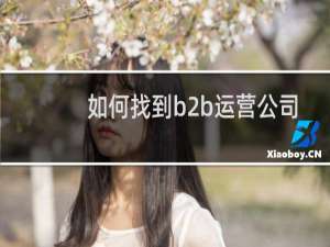 如何找到b2b运营公司
