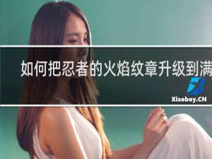 如何把忍者的火焰纹章升级到满级