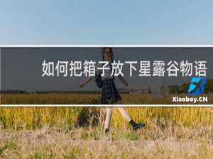 如何把箱子放下星露谷物语