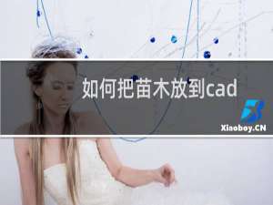 如何把苗木放到cad