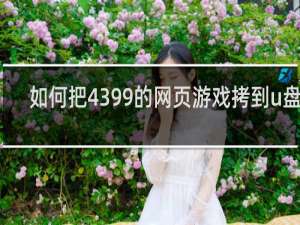 如何把4399的网页游戏拷到u盘里