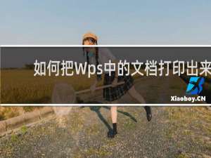 如何把Wps中的文档打印出来