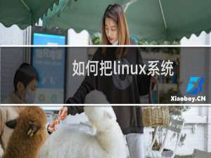 如何把linux系统安装在u盘（linux系统怎么设置u盘启动）