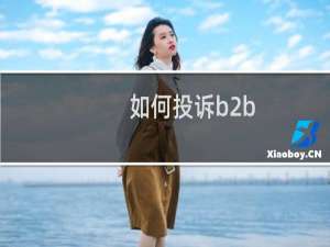 如何投诉b2b