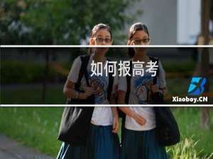 如何报高考