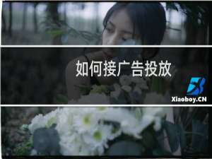 如何接广告投放