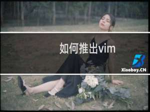 如何推出vim