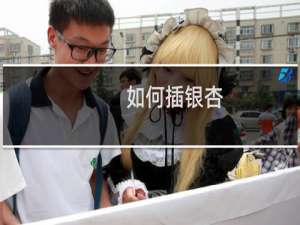 如何插银杏