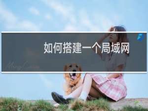 如何搭建一个局域网（几个电脑如何建立局域网）