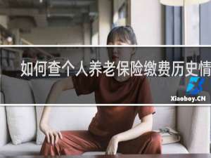 如何查个人养老保险缴费历史情况