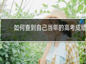 如何查到自己当年的高考成绩