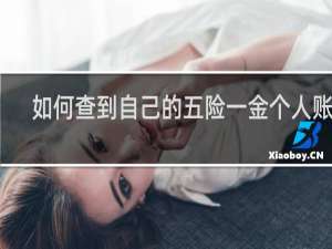 如何查到自己的五险一金个人账号