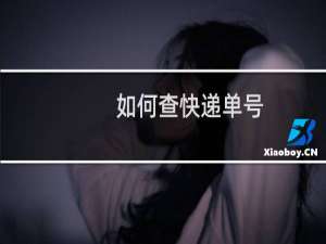 如何查快递单号