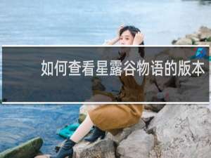 如何查看星露谷物语的版本