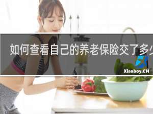 如何查看自己的养老保险交了多少年