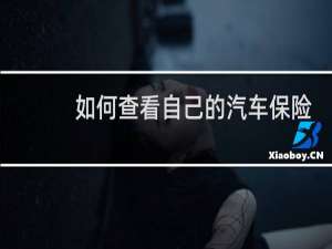 如何查看自己的汽车保险