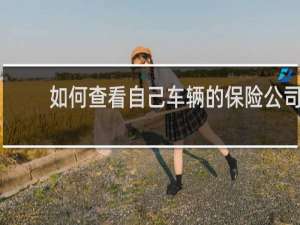 如何查看自己车辆的保险公司