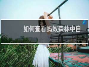 如何查看蚂蚁森林中自己栽种的树的类型与具体位置