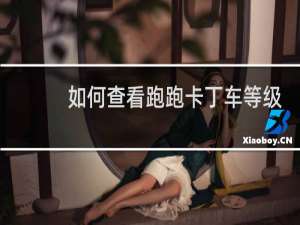 如何查看跑跑卡丁车等级