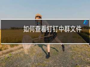 如何查看钉钉中群文件的阅读和下载次数