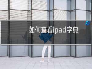 如何查看ipad字典支持的语言?