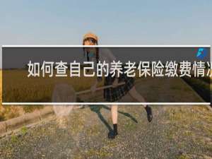 如何查自己的养老保险缴费情况