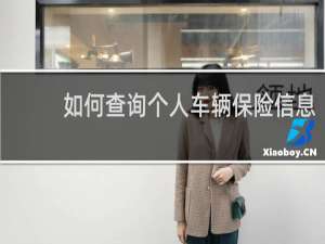 如何查询个人车辆保险信息