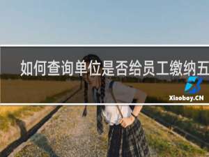 如何查询单位是否给员工缴纳五险