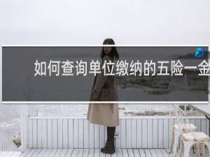 如何查询单位缴纳的五险一金