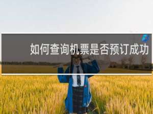 如何查询机票是否预订成功