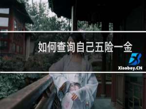 如何查询自己五险一金