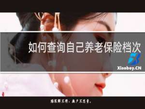 如何查询自己养老保险档次