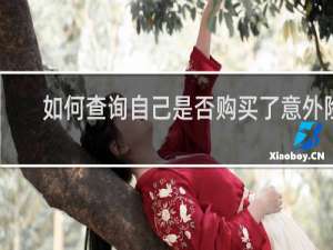 如何查询自己是否购买了意外险