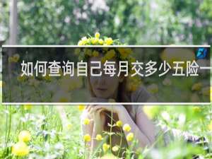 如何查询自己每月交多少五险一金