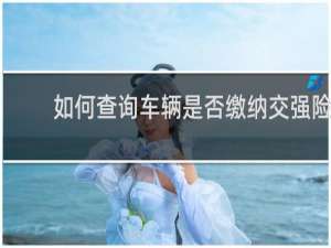 如何查询车辆是否缴纳交强险