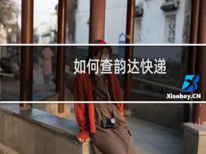 如何查韵达快递