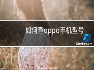 如何查oppo手机型号