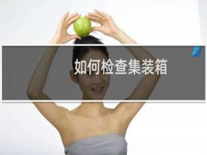 如何检查集装箱